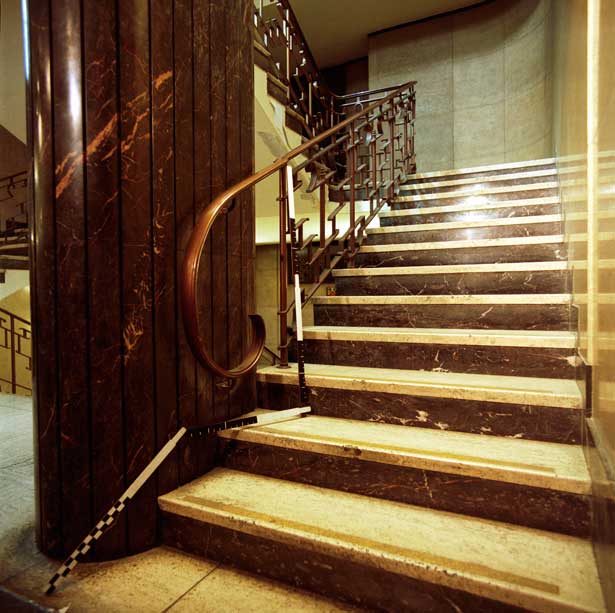 Unfolding the Aryan Papers, Jane and Louise Wilson