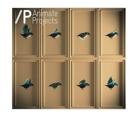 Spherical Harmonics, Alan Warburton