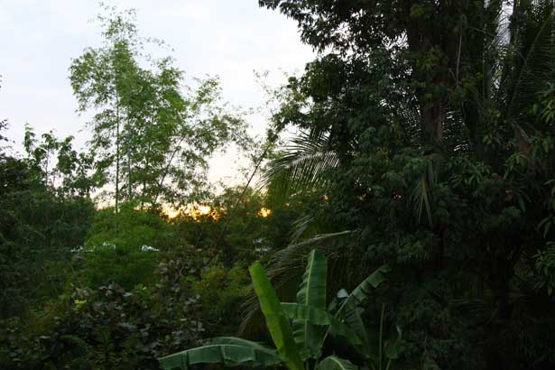 Primitive, Apichatpong Weerasethakul, Image © Chaisiri Jiwarangsan, courtesy of Kick the Machine Films