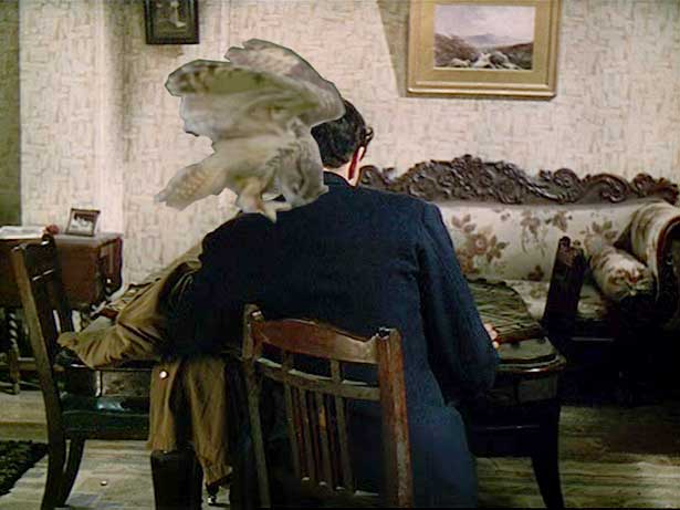 54 Morning Lane, Suky Best