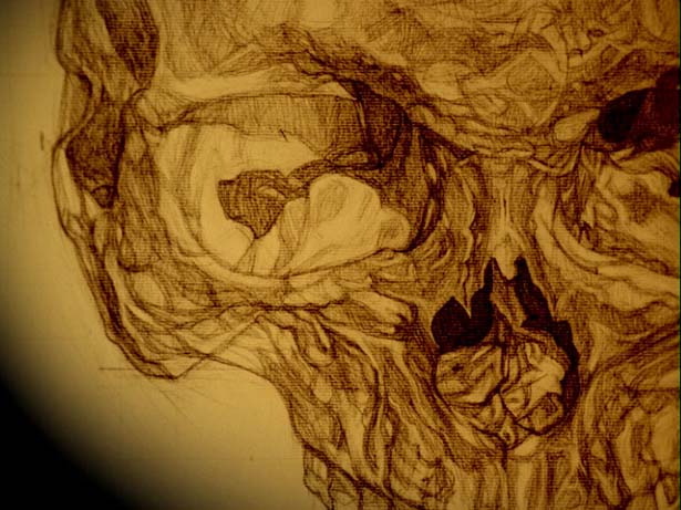 An Anatomy of Melancholy, Jo Ann Kaplan