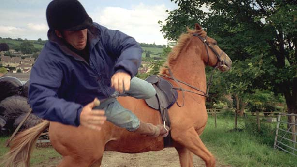 Animal Tragic, Tim Macmillan