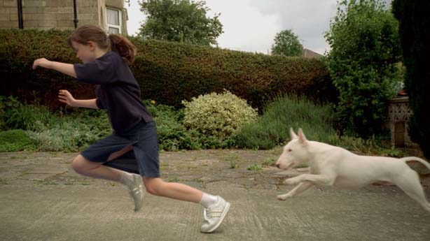 Animal Tragic, Tim Macmillan