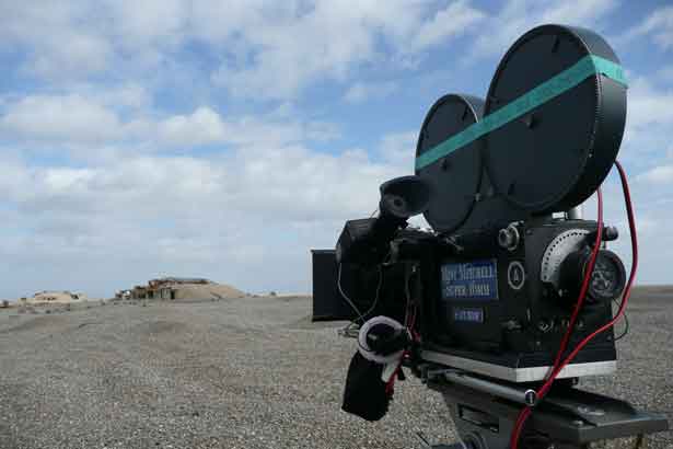 Cobra Mist, Emily Richardson, Image © Tony Hopewell