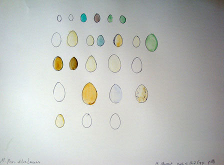 Mr Mammut's Egg Collection, Edwina Ashton