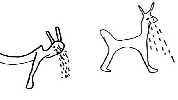 As the Crow Flies, Carolina Melis & Susanne Flender