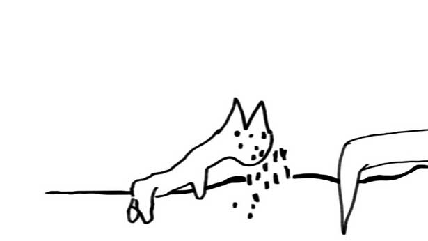 As the Crow Flies, Carolina Melis & Susanne Flender