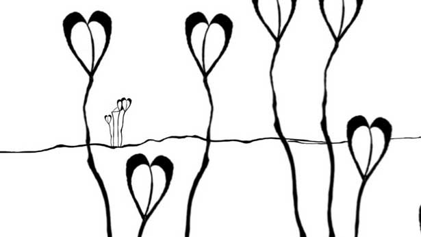 As the Crow Flies, Carolina Melis & Susanne Flender