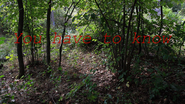 This is History (after all) (production still), Roz Mortimer