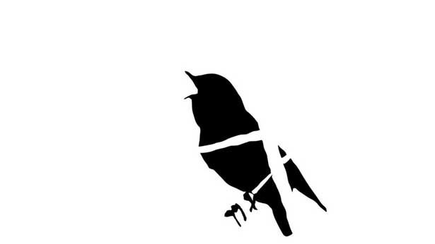 Early Birds, Suky Best