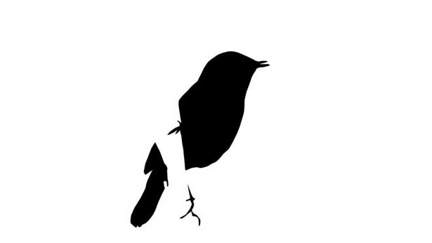 Early Birds, Suky Best