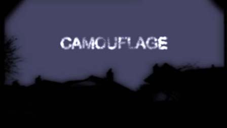 Camouflage, Jonathan Hodgson