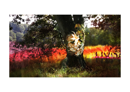 CHUVIHONI, Delaine Le Bas & Damian James Le Bas and Katerina Athanasopoulou