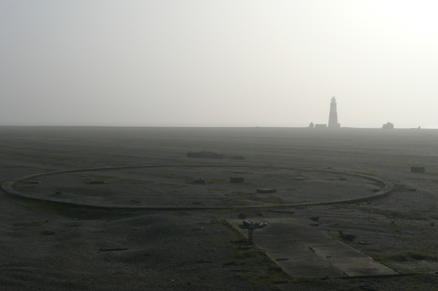 Cobra Mist, Emily Richardson