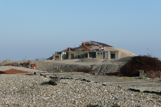 Cobra Mist, Emily Richardson