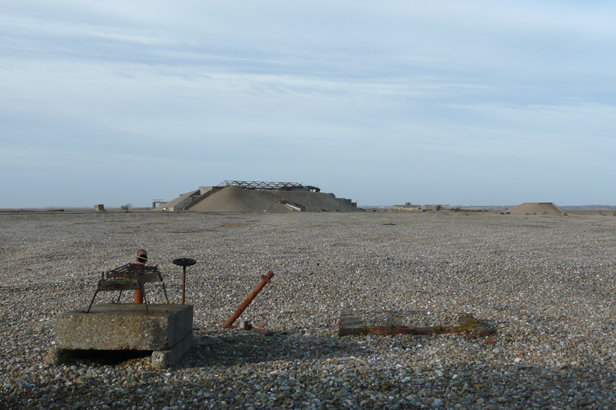 Cobra Mist, Emily Richardson