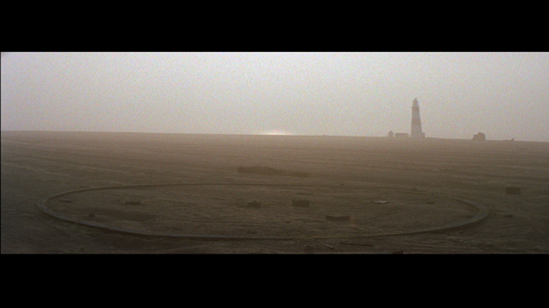 Cobra Mist, Emily Richardson