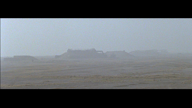 Cobra Mist, Emily Richardson