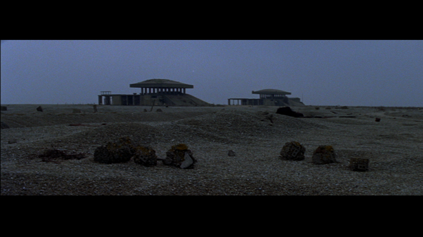 Cobra Mist, Emily Richardson