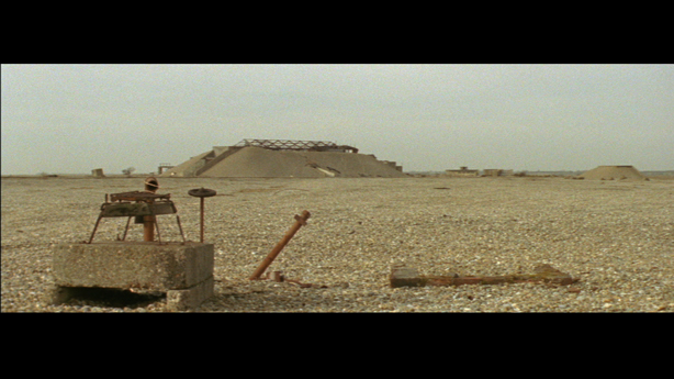 Cobra Mist, Emily Richardson