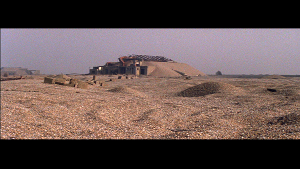 Cobra Mist, Emily Richardson