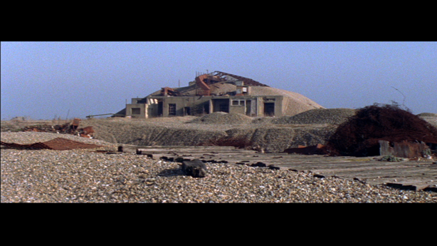 Cobra Mist, Emily Richardson