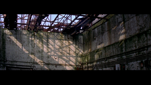 Cobra Mist, Emily Richardson