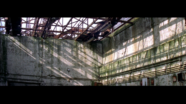 Cobra Mist, Emily Richardson