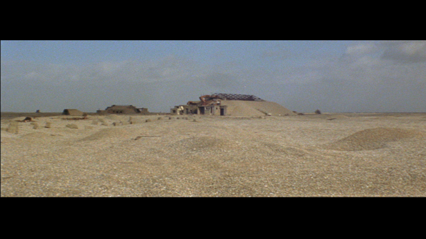 Cobra Mist, Emily Richardson