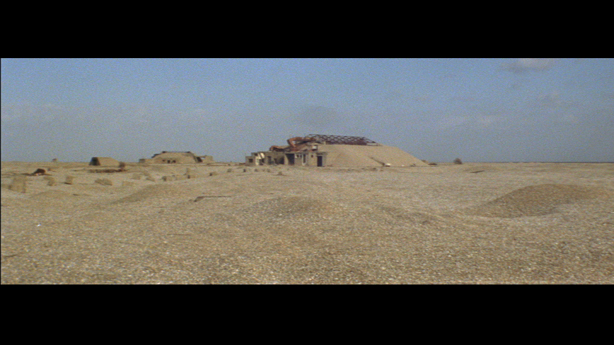 Cobra Mist, Emily Richardson