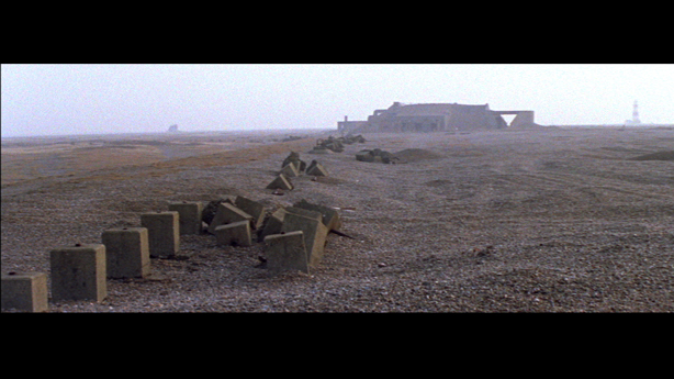 Cobra Mist, Emily Richardson