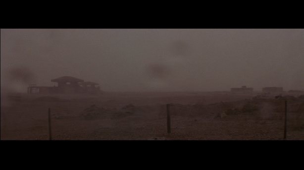 Cobra Mist, Emily Richardson