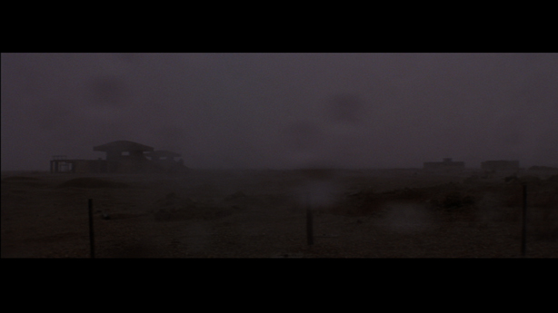 Cobra Mist, Emily Richardson