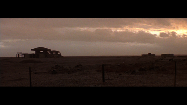 Cobra Mist, Emily Richardson