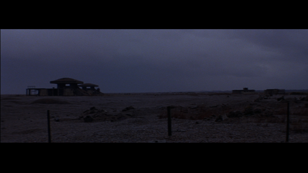 Cobra Mist, Emily Richardson