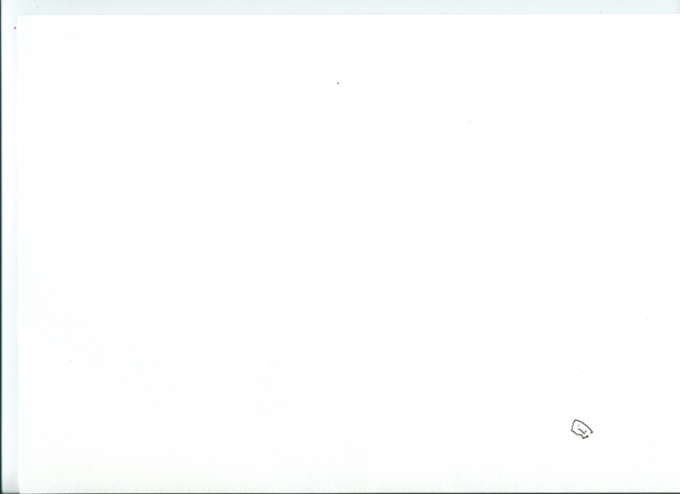 As The Crow Flies, Carolina Melis, Susanne Flender