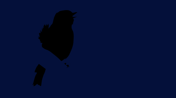 Early Birds, Suky Best