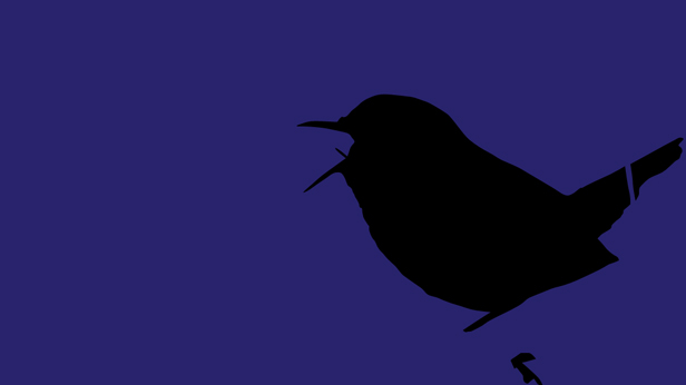 Early Birds, Suky Best