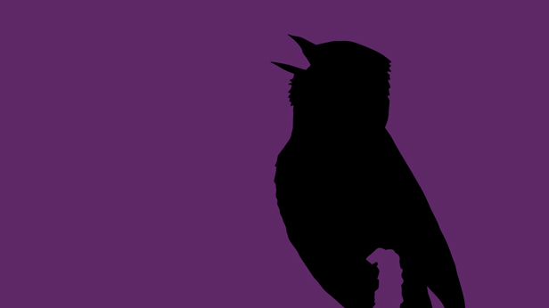 Early Birds, Suky Best