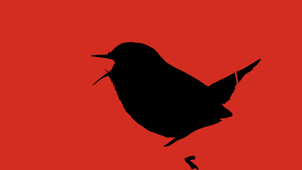 Early Birds, Suky Best