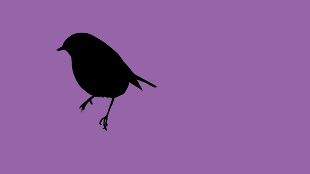 Early Birds, Suky Best