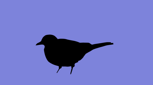 Early Birds, Suky Best