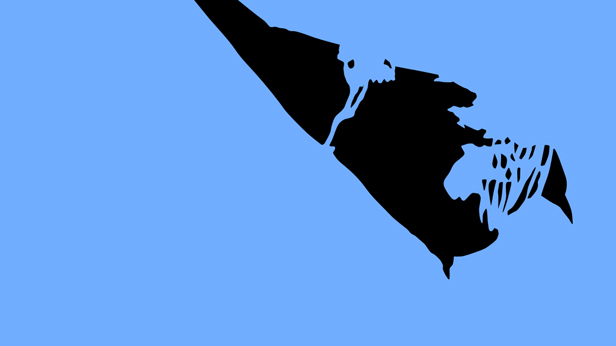 Early Birds, Suky Best