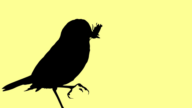 Early Birds, Suky Best