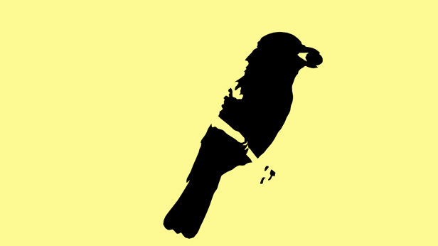 Early Birds, Suky Best