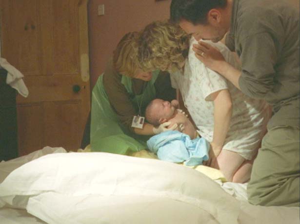 Ferment, Tim Macmillan