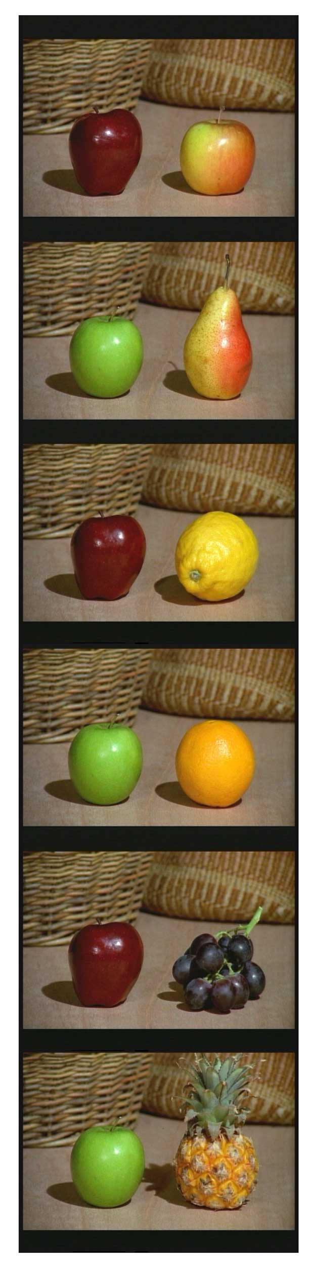 Furniture Poetry, Paul Bush