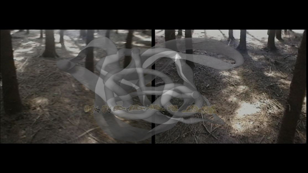 Finding the Telepathic Cinema of Manchuria, David Blair