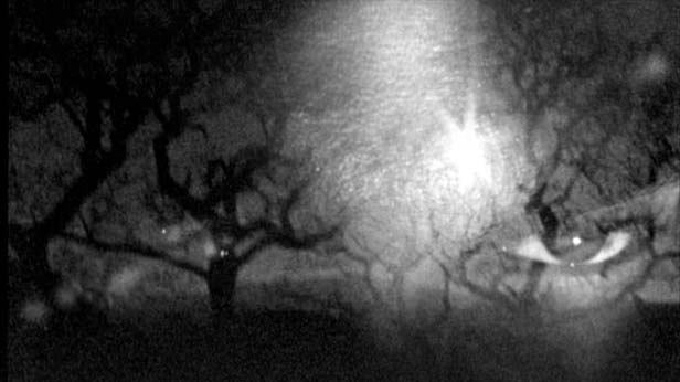 Half Life, Matt Hulse