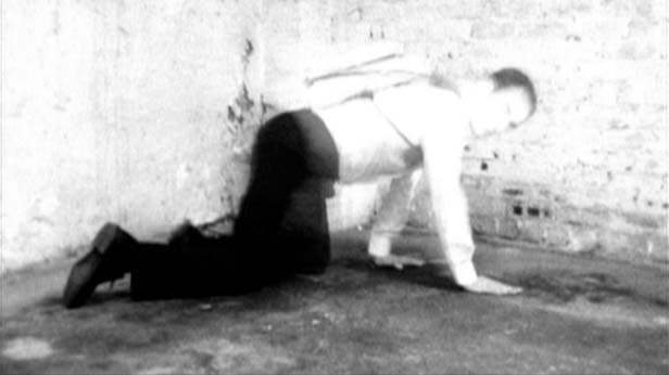 Half Life, Matt Hulse